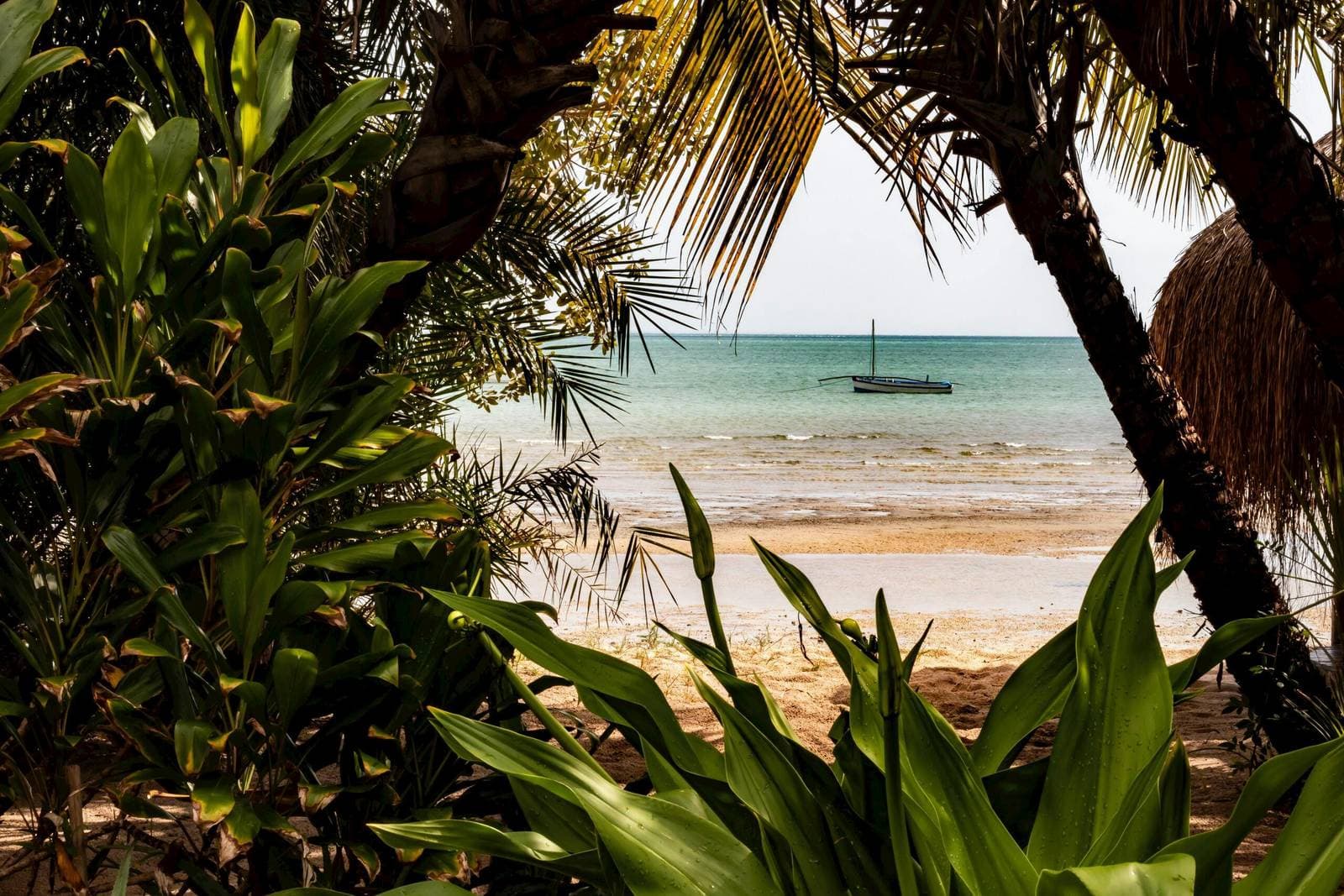 Mozambique Visa